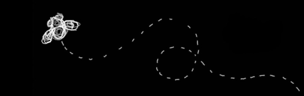 Illustration of a buzzing fly created with white, crayon-like line work on a black backdrop.